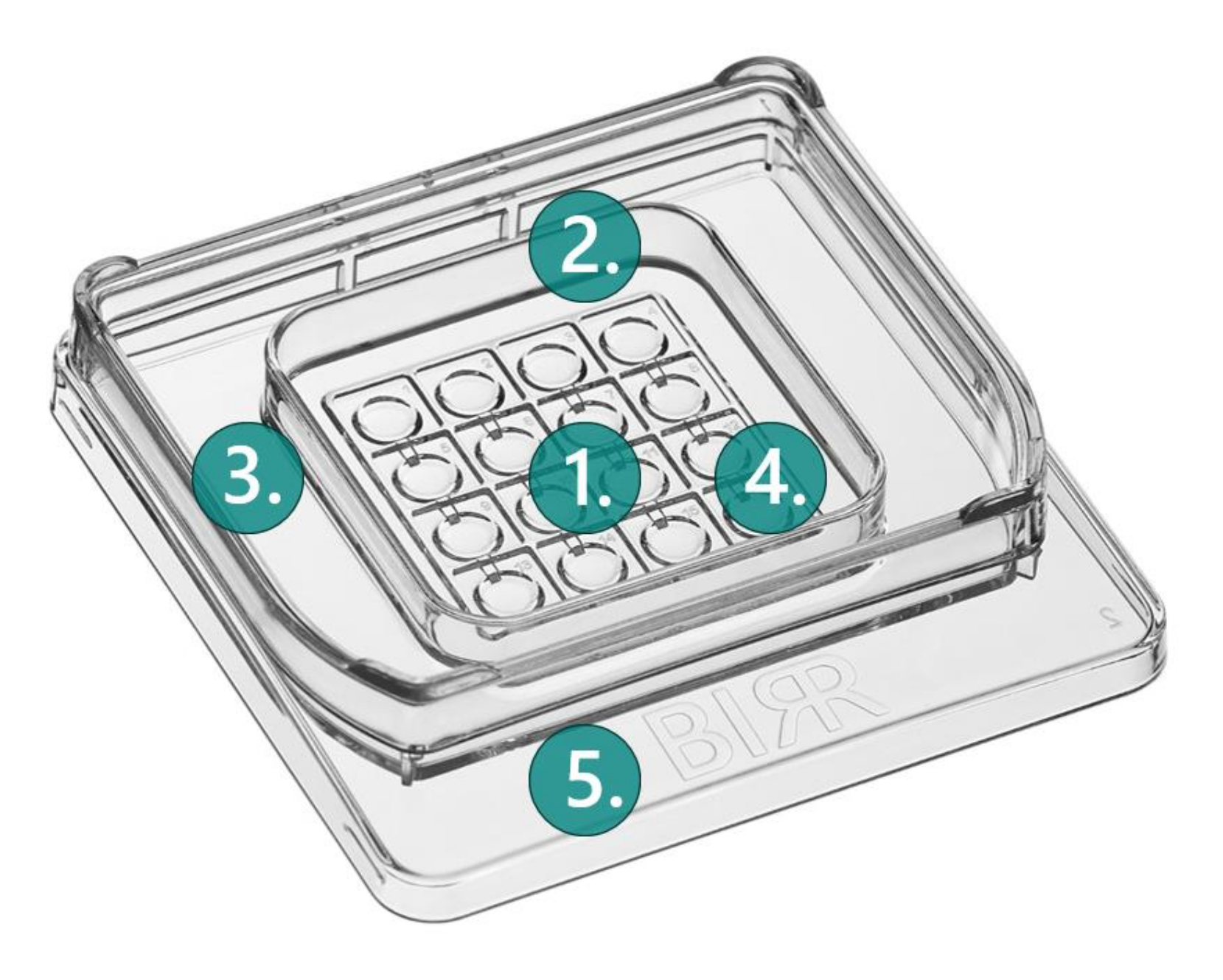 16-well Dish Selling Points