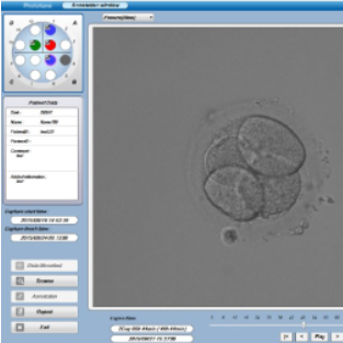 kultivace embryí