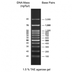 100 bp DNA Ladder with 6× Loading Dye