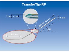 TransferTip® RP (ICSI)