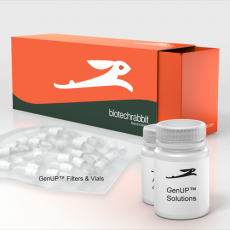 GenUP™ Blood RNA Kit 10