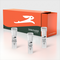 Taq DNA Polymerase recombinant, 5 U/µl, 500 U