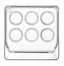 6-Well Dish - vitrification