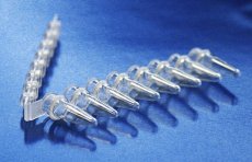 8-Strip PCR zkumavky 0,2 ml, připojené ploché stripové víčko