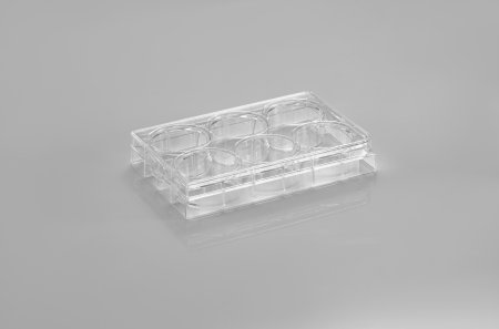 PakGent Kultivační destičky 6jamkové