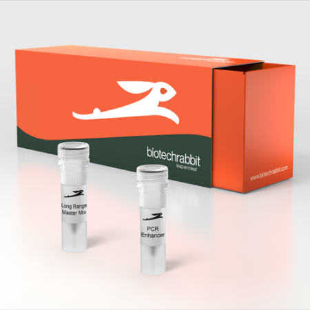 Long Range PCR Master Mix, Biotechrabbit Long Range PCR Master Mix, Biotechrabbit