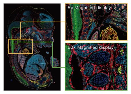 Fluorescence imaging module for S60 Fluorescence imaging module for S60