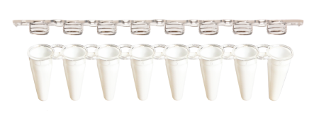 0.1ml 8-Strip PCR Tubes&Caps, Xtra-Clear, White/Natural 0.1ml 8-Strip PCR Tubes&Caps, Xtra-Clear, White/Natural
